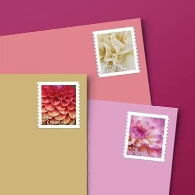 Dahlias 2025 (Book of 20) First-Class Mail Forever Postage Stamps