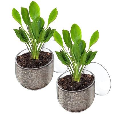 Pawfly 2 Pcs Aquarium Plant Holder, Fish Tank Plant Pot for Aquascape Decoration, Red Worm Fish Feeder, Aquarium Planter Cup with Suction Cup, Clear.