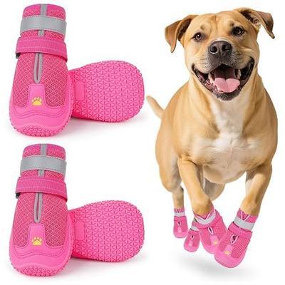 LUCKYPAW Dog Shoes HP,6