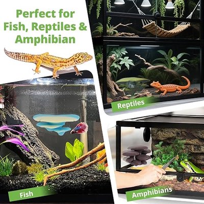 Westant Mushroom Decor for Reptile Tank, Fish Tank, Pet-Safe Bearded Dragon Tank Accessories, Realistic Terrarium Plants for Leopard Geckos, Crested Geckos, Tree Frogs, Snakes (Forest, Trio Cap)