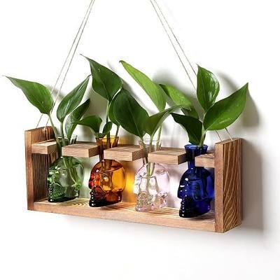 Plant Propagation Stations Halloween Skull Plant Terrarium Kit | Glass Vases Gift for Father Air Planter Home Office Decor