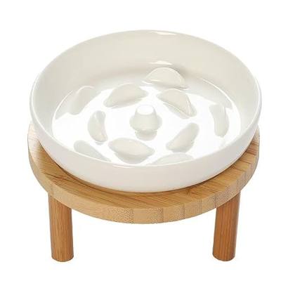 Raised Slow Feeder Cat Bowl, 5.9 Inch Wide Shallow Ceramic Elevated Glass Food Bowl Puzzle Feeders, Anti Vomit Cat Dish, Whisker Friendly Pet Plates Feeding Station for Indoor Cats, Kitten(1 Set)