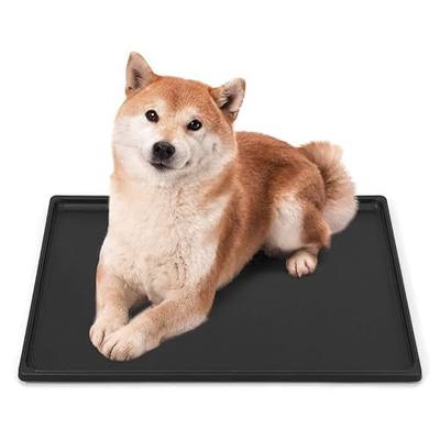 BOWHAUS 35-Inch Dog Crate Pan Replacement, Sturdy, Waterproof Plastic Tray for 36-Inch Pet, Rabbit Ferret Critter Kennels, Versatile Pan and Easy to Clean