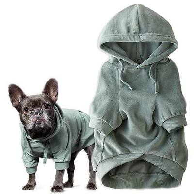Pet Passion Cooper II Dog Hoodie, Sage, Medium | Plush velour hoodie in organic cotton & recycled poly. Cozy, warm & sustainable.