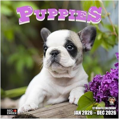 RED EMBER Puppies 2026 Wall Calendar 12 Month | 12" x 24" Open | Thick & Sturdy Paper | Giftable | Cute Puppy Dog Calendar 2026