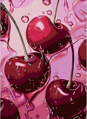 AIBOERL Diamond Art Kits for Adults,Square Drill Cherry Diamond Painting | Square Drill Cherry Diamond Painting for Beginners DIY Square Diamond Dot Painting Gem Art Kits,Home Wall Decor 12x16Inch