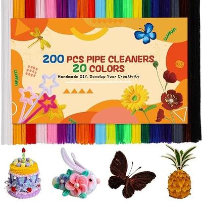 200 Pcs Pipe Cleaners, 20 Colors Pipe Cleaner Craft Chenille Stems | Black Pipe Cleaners Bulk Chenille Stems Craft Supplies for DIY Cleaning Home Decorations