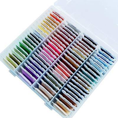 Friendship Bracelet Kit Embroidery Floss 80 Colors