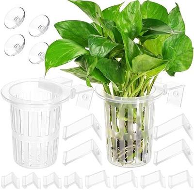 Borlech New Upgraded Large Aquarium Plant Holder with 1.57-inch Extension Hooks and Suction Cups for Fish Tank Aquaponic Plant Cultivation and Aquascape Accessories Decorations (2 Pack) Transparent