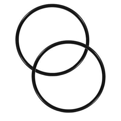 2-Pack Pool Pump Lid O-Ring for P-entair 350013, 350013z | Fits IntelliFlo VF/VS/VS+SVRS, WhisperFlo, Challenger, Pinnacle, EQ-Series & Waterfall Pool and Spa Pump