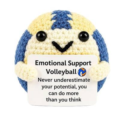 Handmade Crochet Volleyball Gift,Emotional Support Volleyballs with Encouragement Card,Unique Gift for Volleyballs Players,Coaches,Teen,Fans,Volleyball Moms and Lovers,Graduation Gifts for Senior 2026