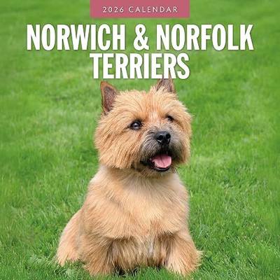 Red Robin 2026 Norwich & Norfolk Terriers Monthly Wall Calendar | 12" x 24" Open | Premium Thick & Sturdy Paper | Hangable 12 Month Calendar | Lined Notes & To Do Area | Vivid Images | Plastic Free