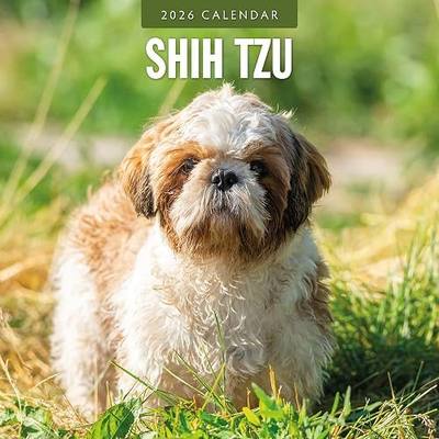 Red Robin 2026 Shih Tzu Monthly Wall Calendar | 12" x 24" Open | Premium Thick & Sturdy Paper | Hangable 12 Month Calendar | Lined Notes & To Do Area | Vivid Images | Plastic Free