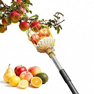 9FT Fruit Picker with Basket, Apple Picking Tool 35–105 Inch Adjustable Pole, Long-Handle Mango Grabber, Tree Fruit Catcher for Harvesting Lemon Pear Orange Avocado Peach Citrus Grapefruit