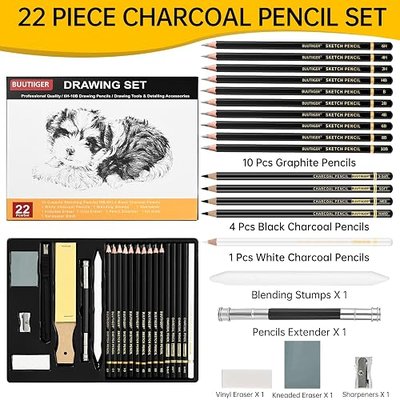 22 Pieces Drawing Sketching Pencil Set, Graphite Pencils (10B-6H) | Charcoal Sticks, Blending Stumps, Erasers, Pencil Sharpeners, Drawing Sketch Supplies, Art Pencils for Beginners & Artists