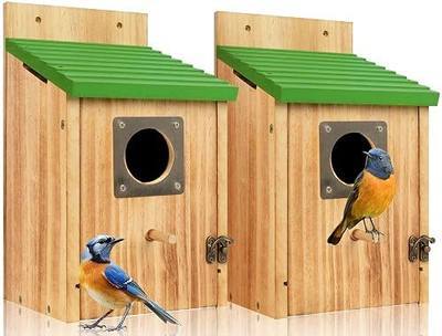 2 Pack Bird Houses for Outside - Cedar Bluebird Houses with Metal Predator Guard, Birdhouse for Wren Bluebirds Finches Swallows, Carbonized Wooden (Assembly Required)