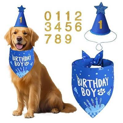 Blue Dog Birthday Party Supplies with Hat Bandana Numbers | Dog Birthday Set for XLarge Large Boy Pets Puppy Cats