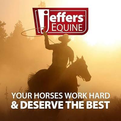 Jeffers Equine Probiotic Oral Gel for Horses, 30 cc Syringe – Supports Healthy Gut, Natural Appetite & Digestion, Horse Supplement w/Prebiotics, Live Microbials (30M CFU), Vitamins A B E, USA Made