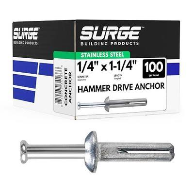 1/4" X 1-1/4" Stainless Hammer Drive Nail in Concrete Anchor (Box of 100) | Concrete Anchor with 304 Stainless Steel Nail for Concrete, Block, and Brick