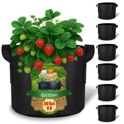 Gardzen 30 Gallon Grow Bags with Waterproof Liner | 500G Thickened Aeration Fabric Pots with Handles, Heavy Duty Cloth Pots for Indoor&Outdoor Use, Black, 6-Pack