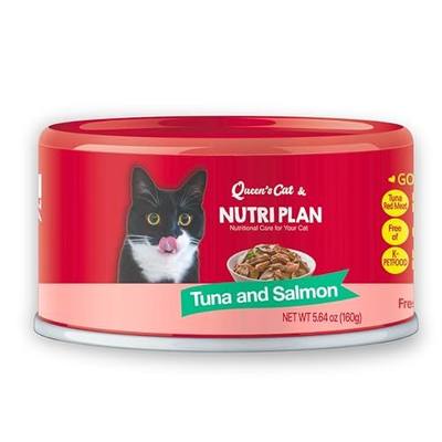 Queen's Cat & NUTRI PLAN Tuna & Salmon Wet Cat Food, 5.64 oz 24 Ct | tuna salmon wet cat food, flake texture, 24 cans, high protein, taurine, moisture rich, Korea made