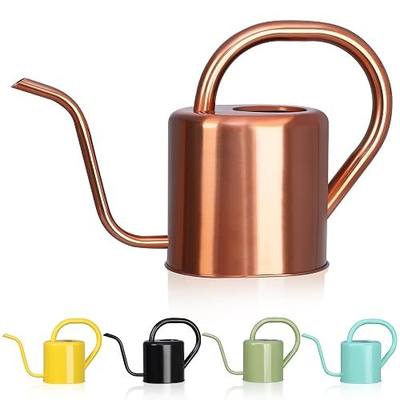 Watering Can, Stainless Steel Watering Can for Indoor & Outdoor Plants, 1L/35oz Long Spout Water Can with Handle, Rust-Proof Plant Watering Pot for House Plants, Garden Flowers