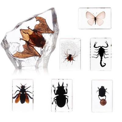 Black Bugs Specimen Resin, Special-Shaped Bat Taxidermy Insects & Beetle for Science Classroom Specimens Supplies, Halloween Christmas Gothic Gifts for Men, Black Oddities Décor(Bat Decor 7)