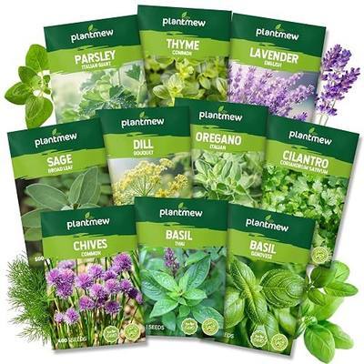 10 Herb Seeds Variety Pack - 7,000+ Heirloom Seeds - Basil, Cilantro, Lavender, Parsley, Dill, Thyme, Chives, Oregano, Sage, Herb Garden Kit for Planting Home Garden, Gardening Gift