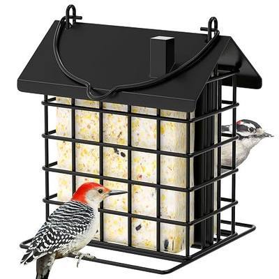 Gbekery All-Metal Double Suet Bird Feeder for Outdoors Hanging, Suet Cake Cage Holder with Weather-Resistant Roof & Perch for Outside Garden, Black