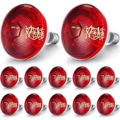 VIHOSE 12 Pack Infrared Heat Lamp for Chickens 250watt 120v Thickened Red Heat Lamp Bulbs for Food Service, Reptile, Pet, Bathroom, Light Therapy Use E26 Base