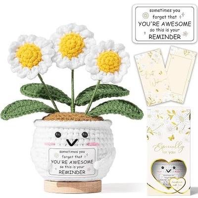 Inspirational Gifts for Women Positive Daisy Flower Emotional Support Crochet, Sometimes You Forget You're Awesome, Graduation Birthday Appreciation Thank You Gifts for Coworker Teacher Nurse Friend