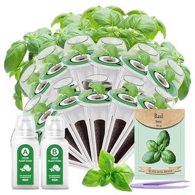 12-Pod Gourmet Basil Herb Seed Pod Kit Compatible with All Hydroponics Growing System, Universal Seed Starter Pods for Indoor Gardening