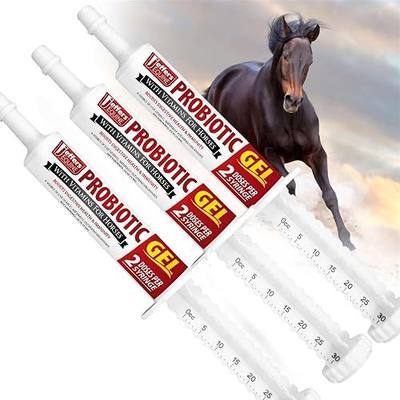 Jeffers Equine Probiotic Oral Gel for Horses, 30 cc Syringe – Supports Healthy Gut, Natural Appetite & Digestion, Horse Supplement w/Prebiotics, Live Microbials, Vitamins A B E, USA Made, 3 Pack