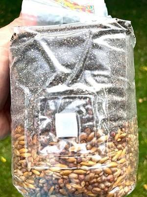SPAWN DADDY™ 2 lb All-in-One Mushroom Grow Bag – Sterilized Triple Grain (Red Milo, Oats, Rye) with CVG Substrate & Azomite Micronutrients – Ready to Use for Manure Loving Mushrooms