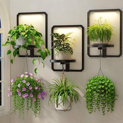 LASZOLA Plant Picture Frame Holder Wall Mount Indoor Window with 3 Grow Light, 3 Pack Modern Floating Flower Stand Shelf with Hooks, Metal Hanger Display Decor for Living Room, Black