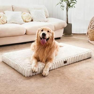 Dog Beds for Large Sized Dog, Orthopedic Foam with Waterproof Lining | Egg crate foam for joint support. Soft plush surface. Non-slip bottom. Removable & machine washable cover. OEKO-TEX certified