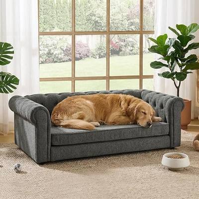 Elevated XL Large Dog Sofa with Backrest and Armrests, 55" Button Tufted Dog Couch Bed with Soft Cushion for Large Dogs, Stylish Lounging Bed Pet Couch Chair, 120Lbs Weight Capacity, Dark Gray