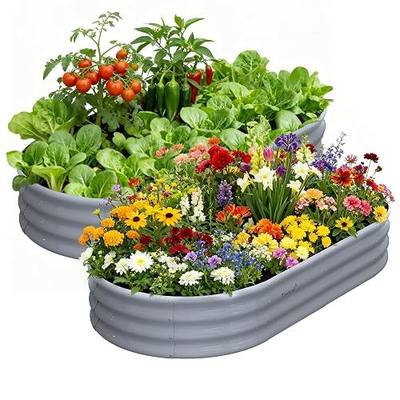 Galvanized Raised Garden Bed, 2 Pack 6x3x1ft Oval Metal Planter Box | Easy Tool-Free Assembly, Beginner & Senior Friendly, 12" Tall Large Outdoor Gardening Beds for Vegetables, Flowers, Herb Gray