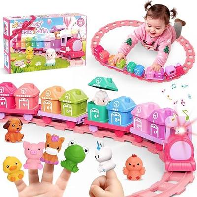 Train Set Toy Toddlers for 1-3 Montessori Learning Matching & Sorting Toys | Learning Toy for Ages 1 2 3 Christmas Birthday Gift Boys Girls (Pink)