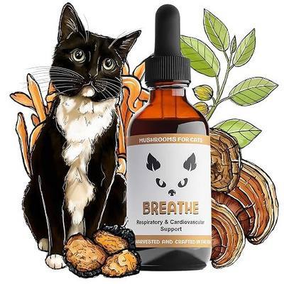MycoCat Breathe, Cat Respiratory Support, Mushroom & Ashwagandha Drops, 2oz | Breathing comfort & airway health for felines of every age & breed.