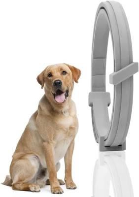 fcesiweg Flea and Tick Collar for Dogs, Easy to Use - 1P