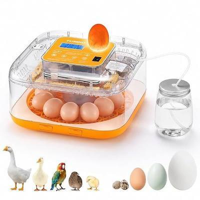 TURBRO Incubator for Hatching Eggs, Automatic Turning, Temperature & Humidity Control, Built-in Candler, 60° Viewing, 12 Egg Incubators for Chicken, Duck, Quail, Turkey, Goose, Parrot, Bird | 12 Egg Incubators , Built-in Candler, Automatic Turning, 360° Viewing