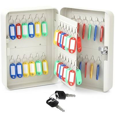 Ripeng 48-Keys Steel Key Lock Box - Wall Mount Key Cabinet with Colorful Secure Tags & Hooks Keys Organizer Storage for Home Office Hotel Rental Business Property Management, White