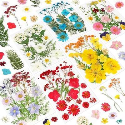 NESCCI Dried Pressed Flowers for Resin, 103pcs Real Nature Dried Flowers for Crafts Bulk Dry Flowers Leaves Kit Used for Resin Molds Scrapbooking DIY Art Crafts Candle Soap Making Nails Décor