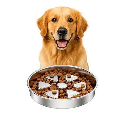 Kactoily 304 Stainless Steel Slow Feeder Dog Bowl, 2.5 Cups Non-Slip Pet Bowl, Raised Design for Slow Eating & Digestive Health - Perfect for Medium Large Dogs
