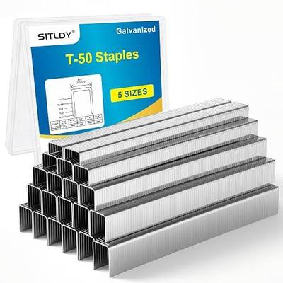 Heavy Duty T-50 Staples Galvanized 2184-Count 5 Sizes 3/8" Crown | Includes: 1/4", 5/16", 3/8", 1/2", 9/16" Assorted Size Project Pack fit Pneumatic Electric T50 Stapler for Decoration DIY