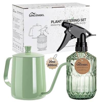 Watering Can for Indoor Plants, 20 oz Metal Small Plant Watering Can with Long Spout for House Plants, 13.5 oz Glass Plant Mister Spray Bottle for Bonsai Garden Flowers Decorative (Green)