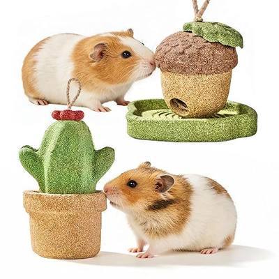 2 Pack Guinea Pig Chew Toys, Prevent Teeth Overgrowth, Rabbit Chew Toys, Natural Treats for Rabbit/Hamster Toys, Natural Timothy Grass & Vegetables, Small Animal Toys for Habitat Decoration