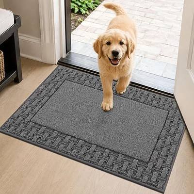 Dirt Trapper Door Mats 20x32in, Non-Slip Entryway Rugs, Grey | Low-Profile Doormat Indoor Entrance Washable, Dirt Resist and Absorbent Floor Mats for Welcome Front Back Door, Laundry
