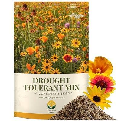 Drought Tolerant Wildflower Mix – 20,000+ Seeds – 1 oz Bulk Extra Large Resealable Packet – Non-GMO Flower Seeds for Dry Climates – Black-Eyed Susan, Coreopsis, California Poppy & More